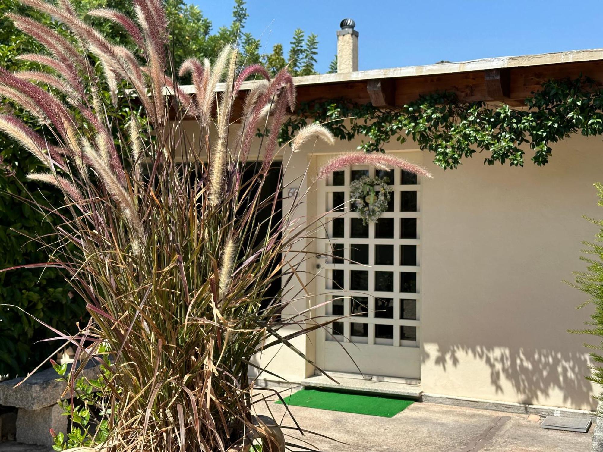 Villa Niloan Olbia Exteriér fotografie