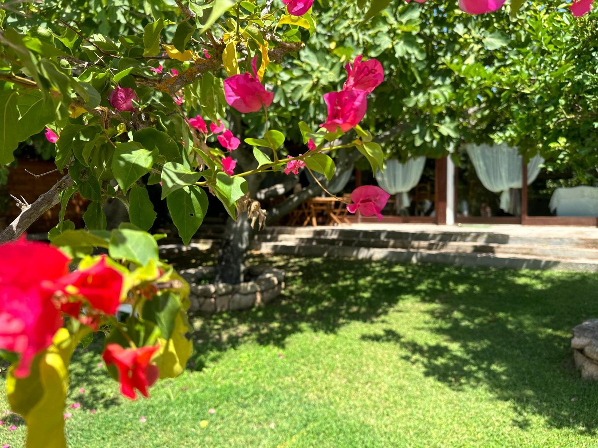 Villa Niloan Olbia Exteriér fotografie