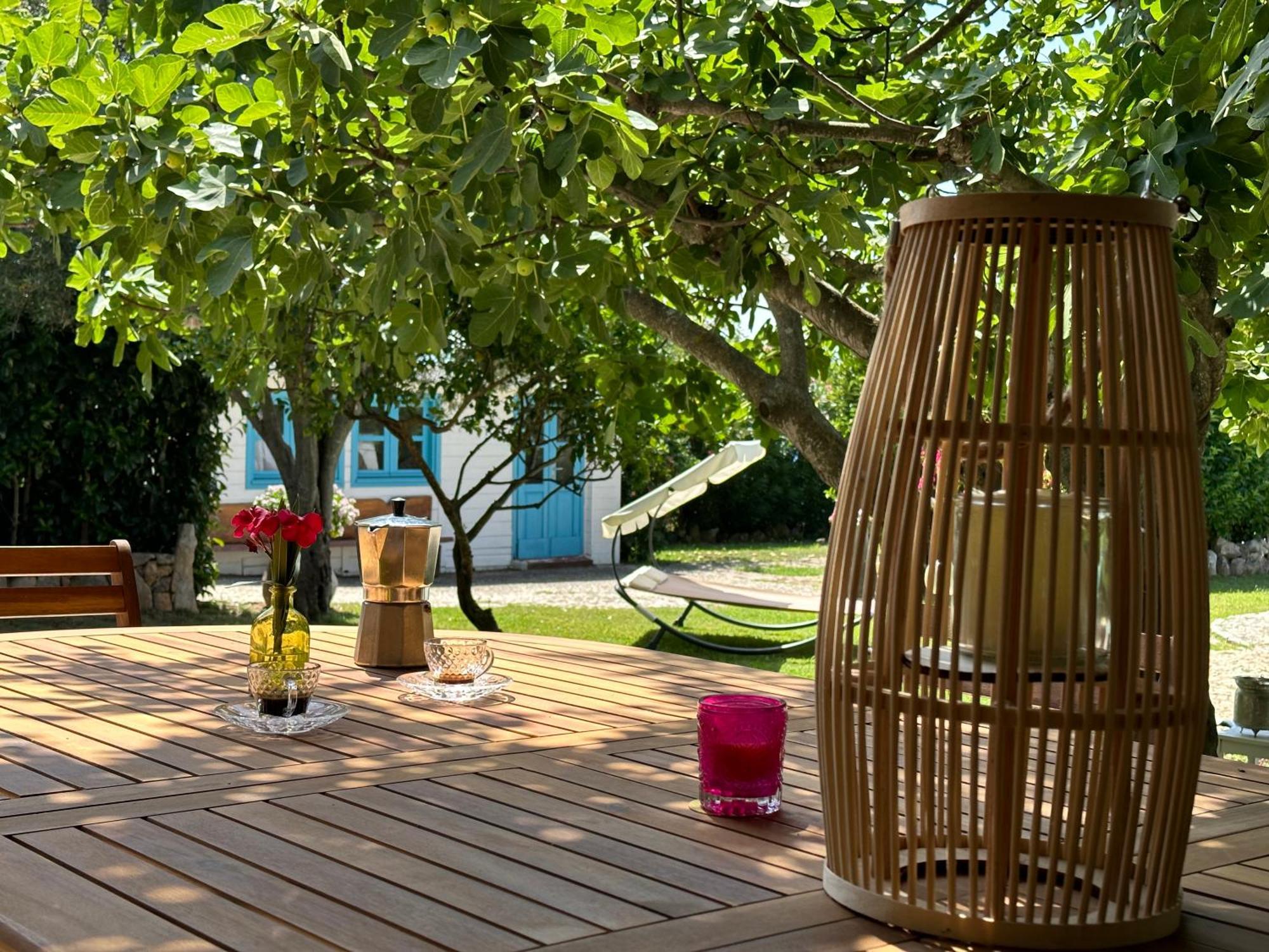Villa Niloan Olbia Exteriér fotografie