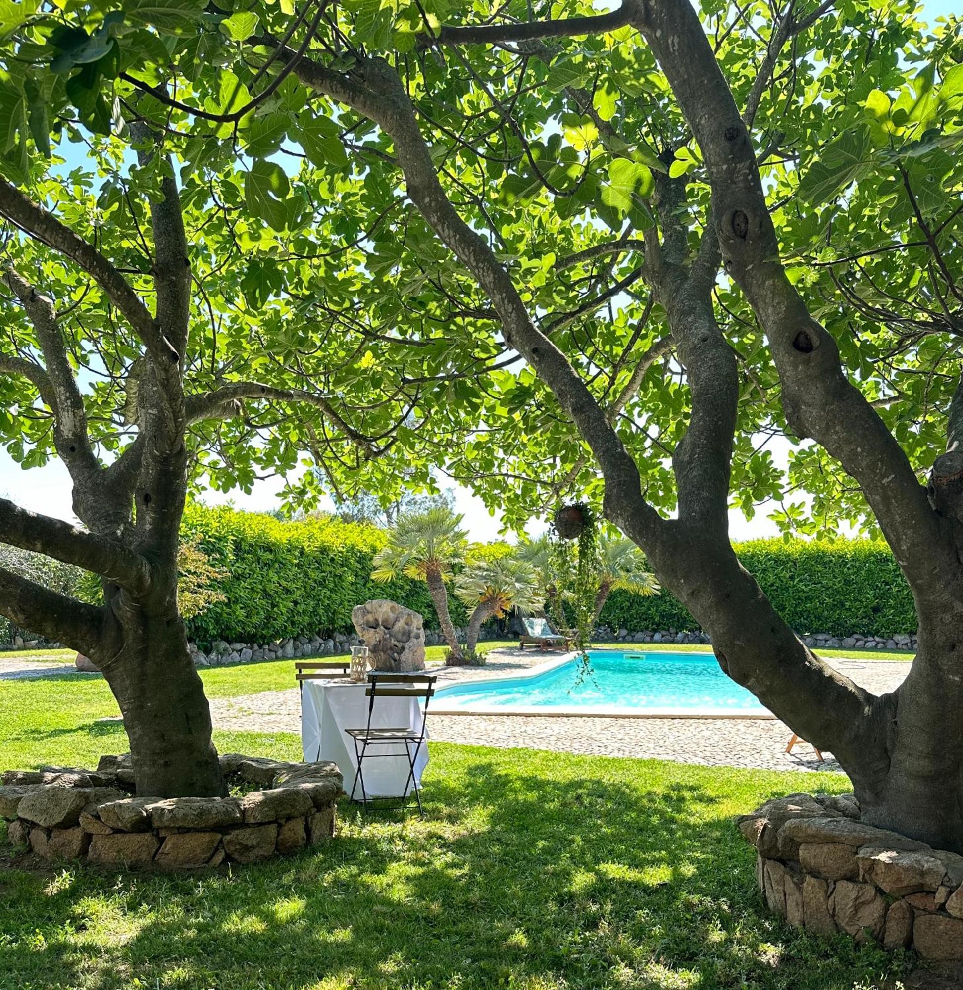 Villa Niloan Olbia Exteriér fotografie