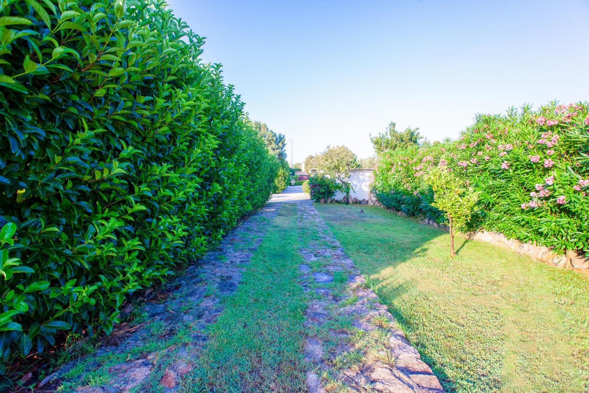 Villa Niloan Olbia Exteriér fotografie
